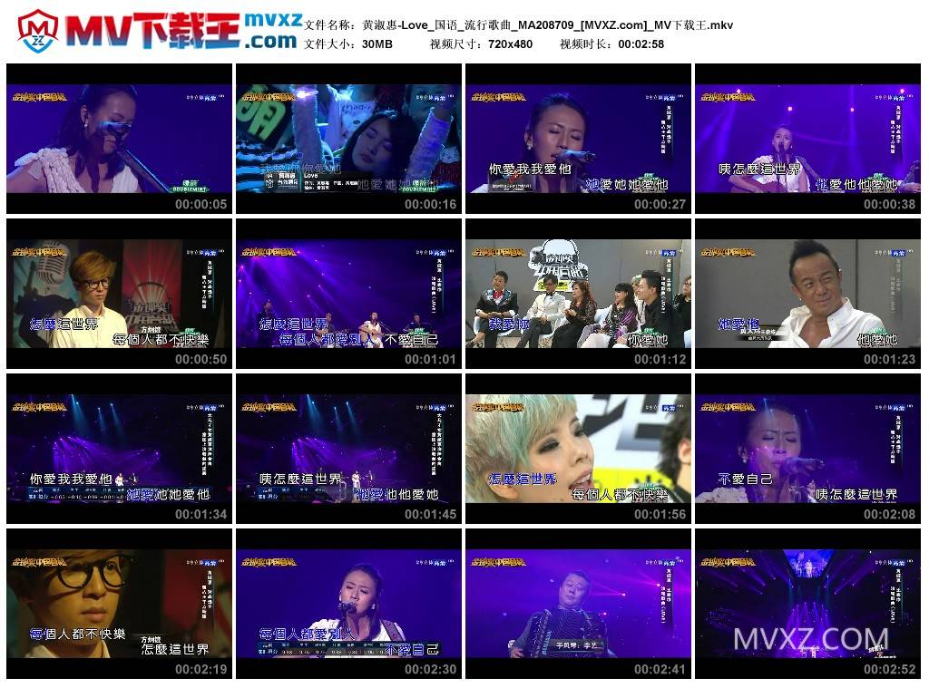 黄淑惠-Love_国语_流行歌曲_MA208709